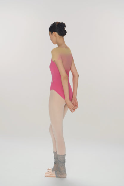 Ballet Leotard | Gradient Mesh Panel Back with Crotch Snap Closure